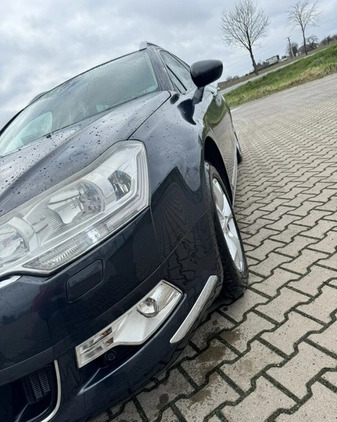 Citroen C5 cena 23800 przebieg: 263760, rok produkcji 2009 z Krzywiń małe 211